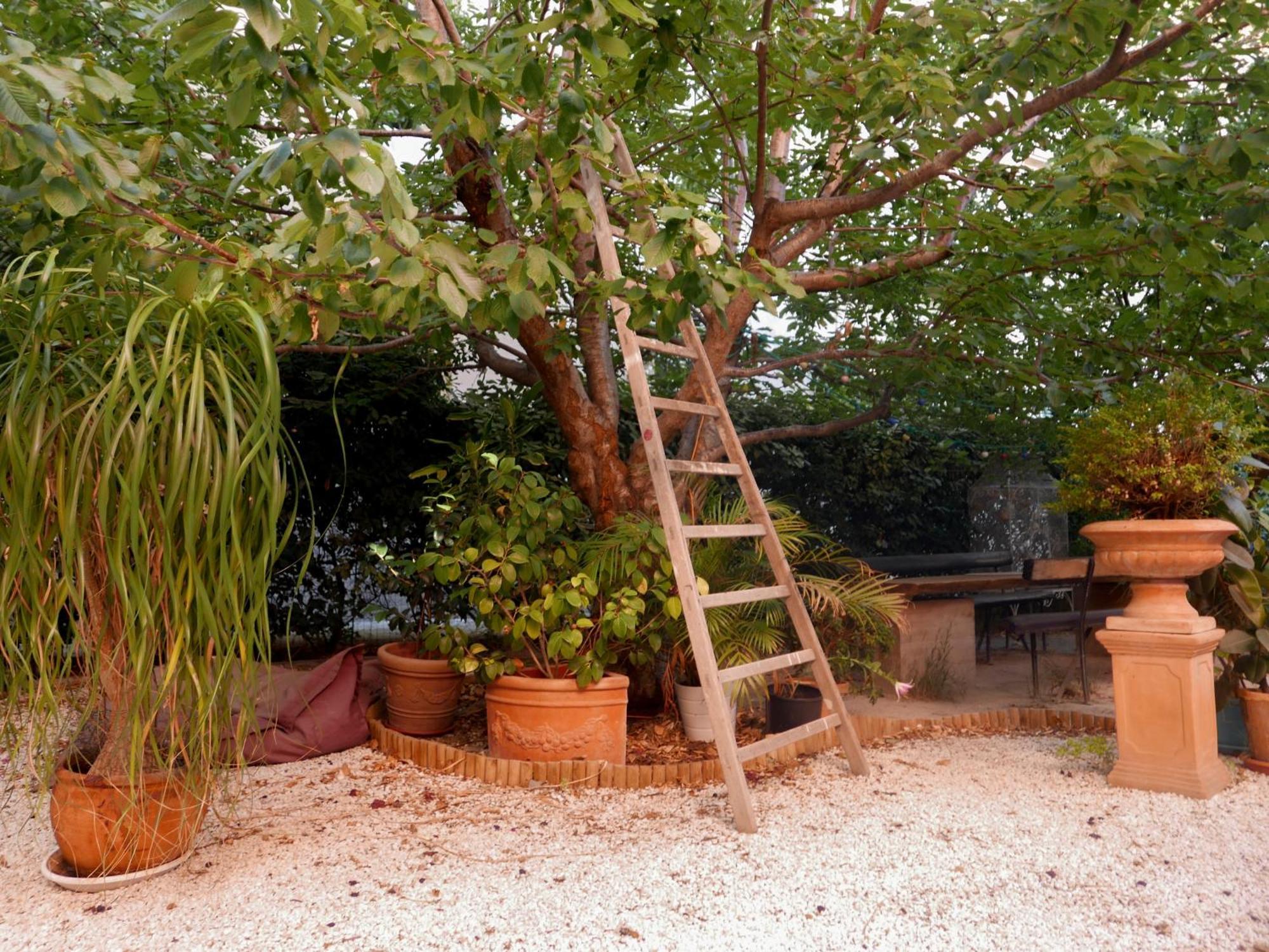 Jardin Vieux Port Panier Hotel Marseilles Buitenkant foto
