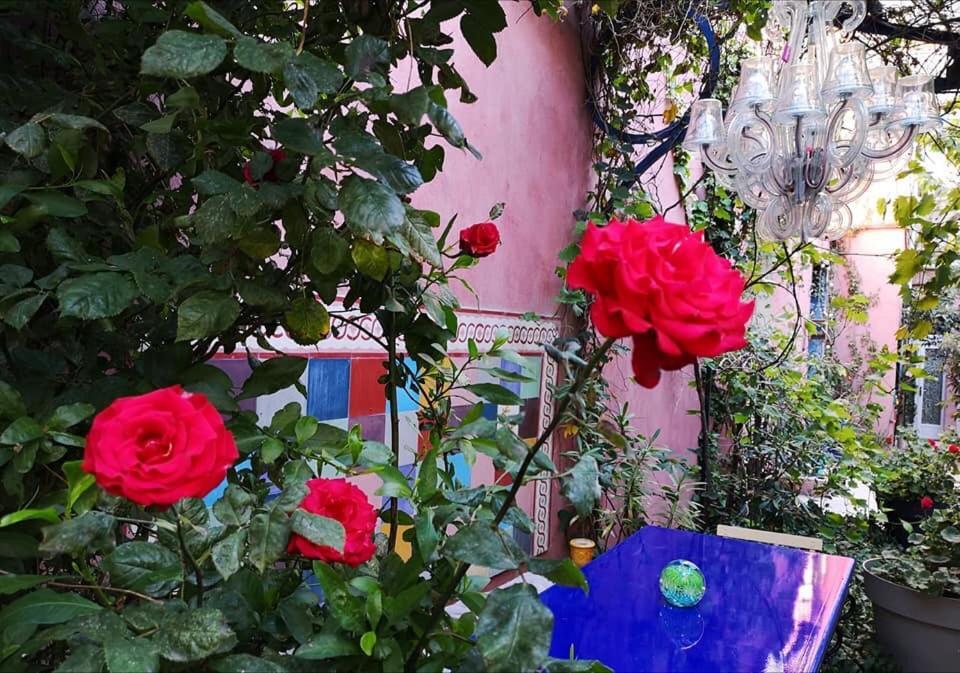 Jardin Vieux Port Panier Hotel Marseilles Buitenkant foto